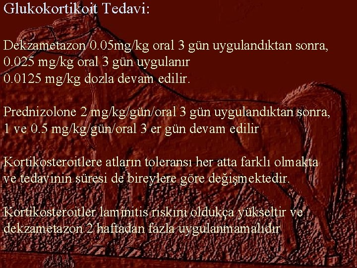 Glukokortikoit Tedavi: Dekzametazon 0. 05 mg/kg oral 3 gün uygulandıktan sonra, 0. 025 mg/kg