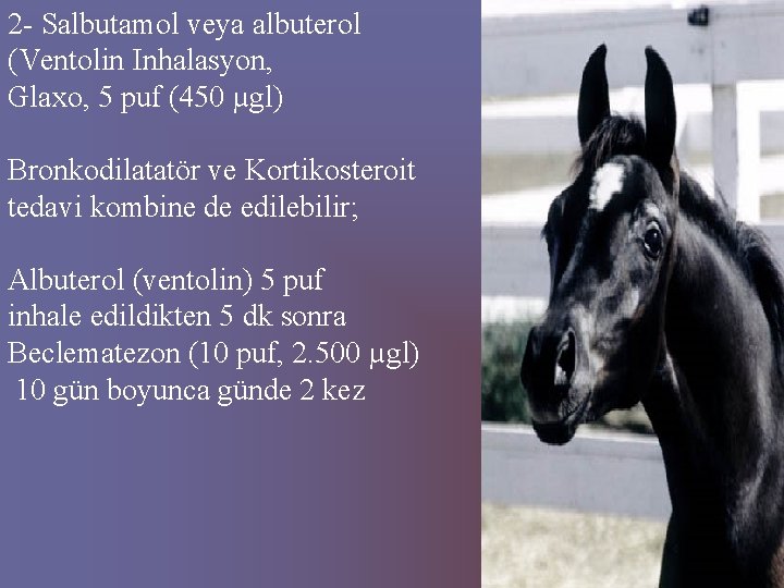 2 Salbutamol veya albuterol (Ventolin Inhalasyon, Glaxo, 5 puf (450 µgl) Bronkodilatatör ve Kortikosteroit
