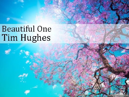 Beautiful One Tim Hughes 