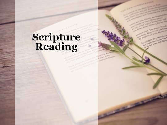 Scripture Reading 