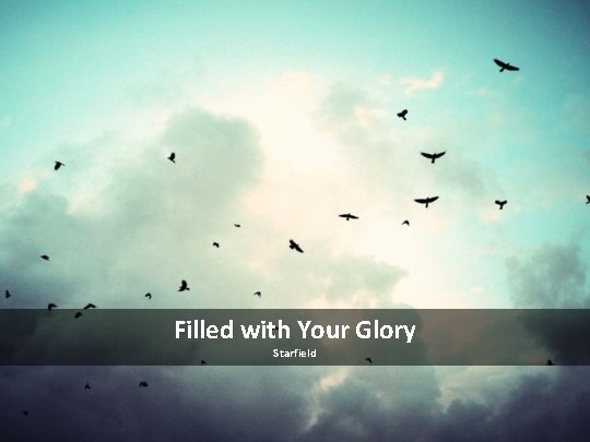 Filled with Your Glory Starfield 