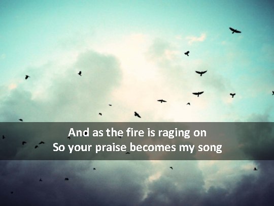 And as the fire is raging on So your praise becomes my song 