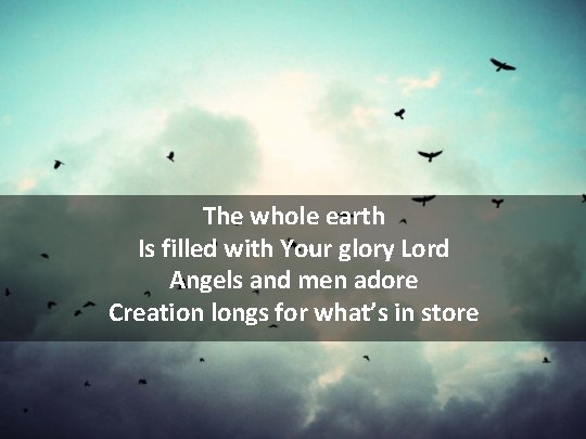 The whole earth Is filled with Your glory Lord Angels and men adore Creation