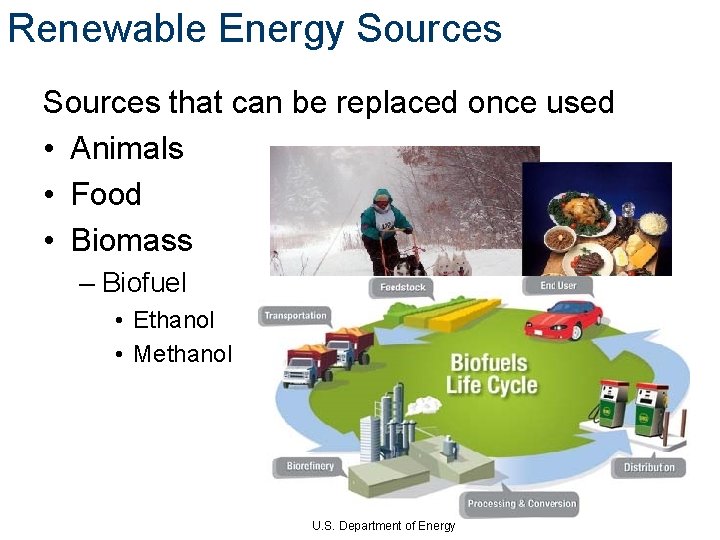 Renewable Energy Sources that can be replaced once used • Animals • Food •