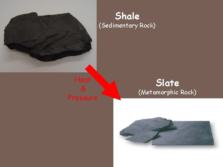 Shale (Sedimentary Rock) Heat & Pressure Slate (Metamorphic Rock) 