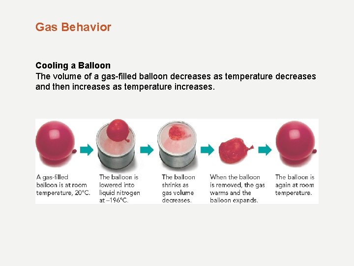 Gas Behavior Cooling a Balloon The volume of a gas-filled balloon decreases as temperature