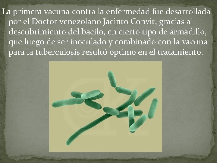 La primera vacuna contra la enfermedad fue desarrollada por el Doctor venezolano Jacinto Convit,