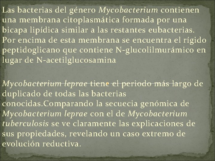 Las bacterias del género Mycobacterium contienen una membrana citoplasmática formada por una bicapa lipídica