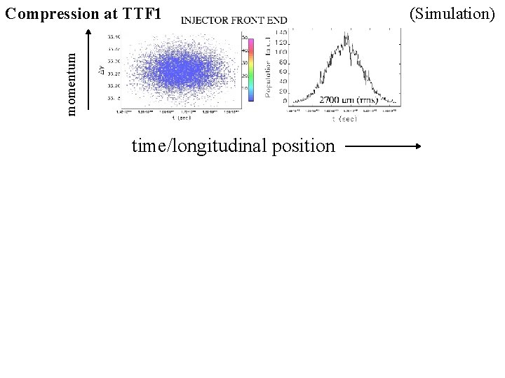 momentum Compression at TTF 1 time/longitudinal position (Simulation) 