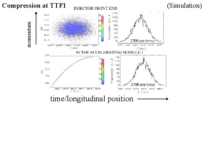 momentum Compression at TTF 1 time/longitudinal position (Simulation) 