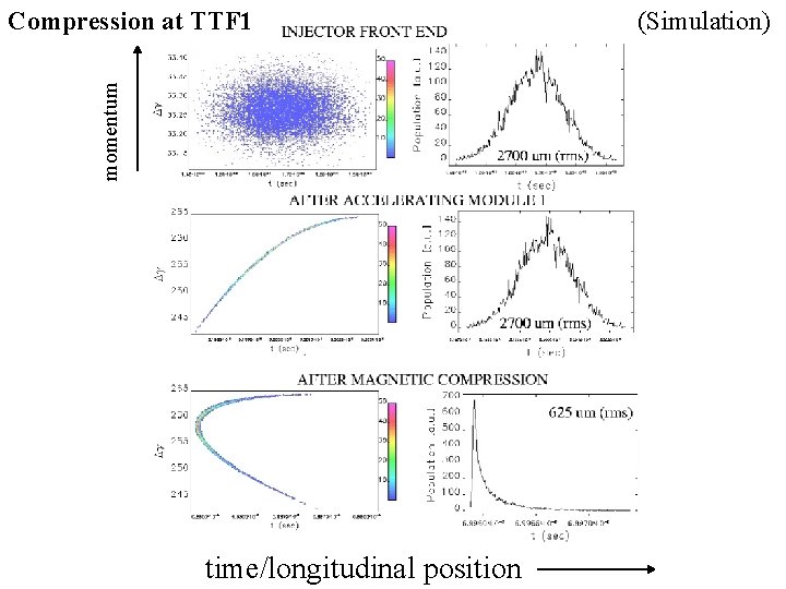 momentum Compression at TTF 1 time/longitudinal position (Simulation) 