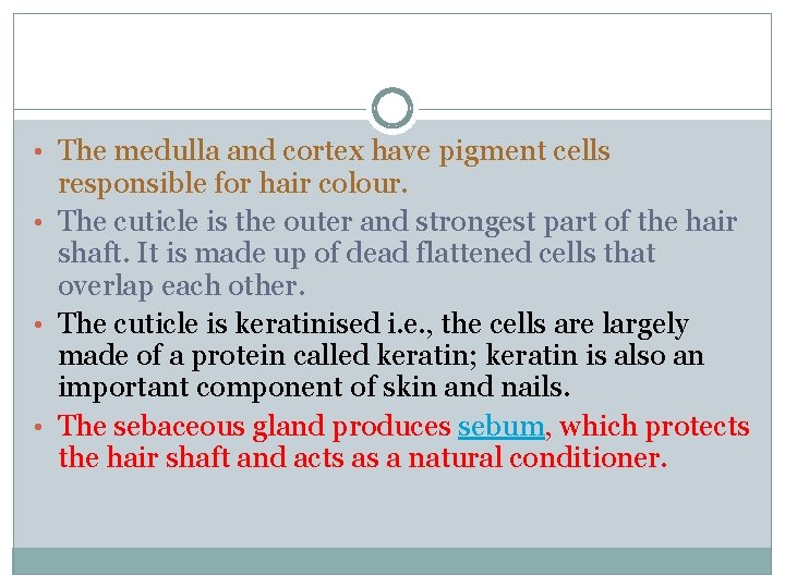 • The medulla and cortex have pigment cells responsible for hair colour. • • The medulla and cortex have pigment cells responsible for hair colour. •