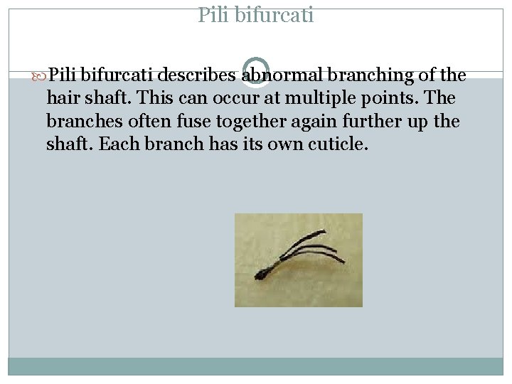 Pili bifurcati describes abnormal branching of the hair shaft. This can occur at multiple