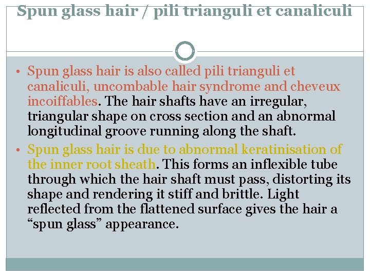 Spun glass hair / pili trianguli et canaliculi • Spun glass hair is also