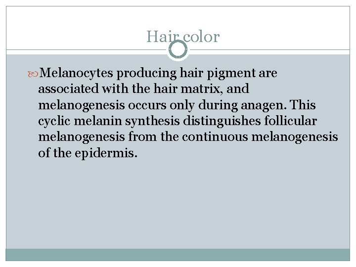 Hair color Melanocytes producing hair pigment are associated with the hair matrix, and melanogenesis Hair color Melanocytes producing hair pigment are associated with the hair matrix, and melanogenesis