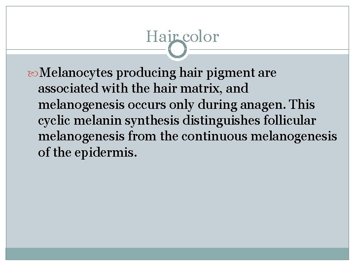 Hair color Melanocytes producing hair pigment are associated with the hair matrix, and melanogenesis