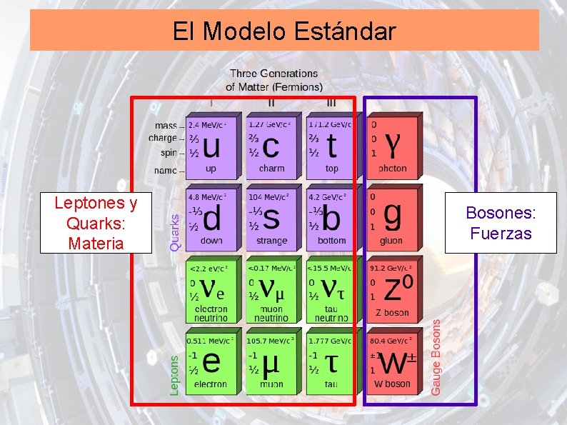 El Modelo Estándar Leptones y Quarks: Materia Bosones: Fuerzas 