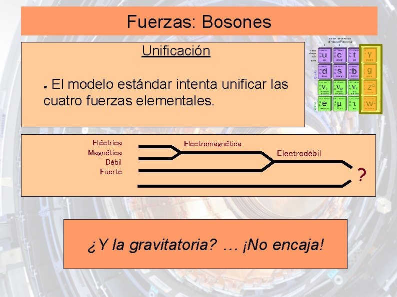 Fuerzas: Bosones Unificación El modelo estándar intenta unificar las cuatro fuerzas elementales. ● Eléctrica