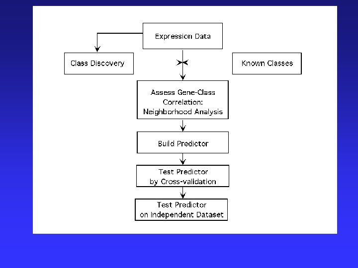 Gene Expression Analysis using Microarrays Anne R Haake