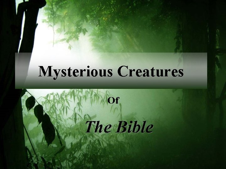Mysterious Creatures Of The Bible 