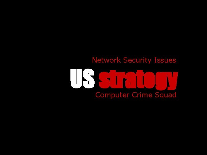 Network Security Issues US strategy Computer Crime Squad 