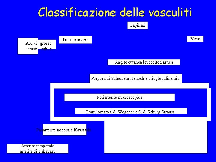 Classificazione delle vasculiti Capillari AA. di grosso e medio calibro Vene Piccole arterie Angite
