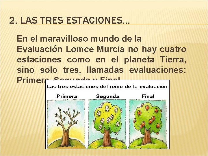 2. LAS TRES ESTACIONES… En el maravilloso mundo de la Evaluación Lomce Murcia no