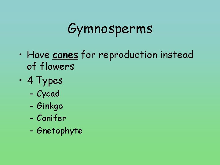 Gymnosperms • Have cones for reproduction instead of flowers • 4 Types – –