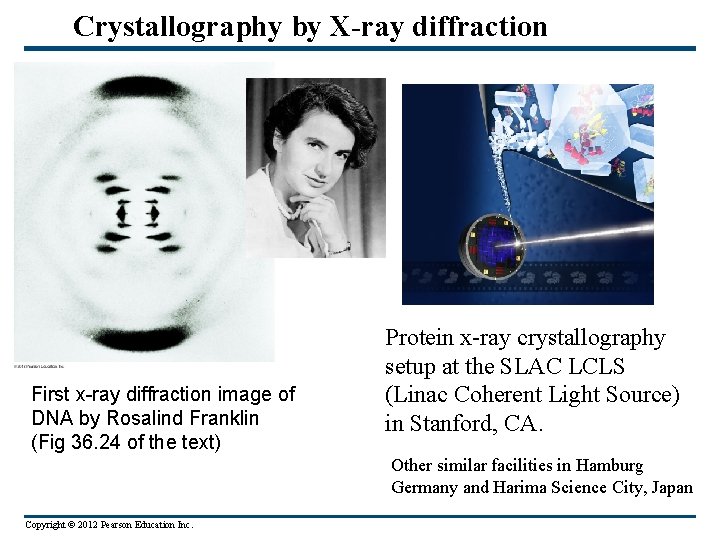 Crystallography by X-ray diffraction First x-ray diffraction image of DNA by Rosalind Franklin (Fig