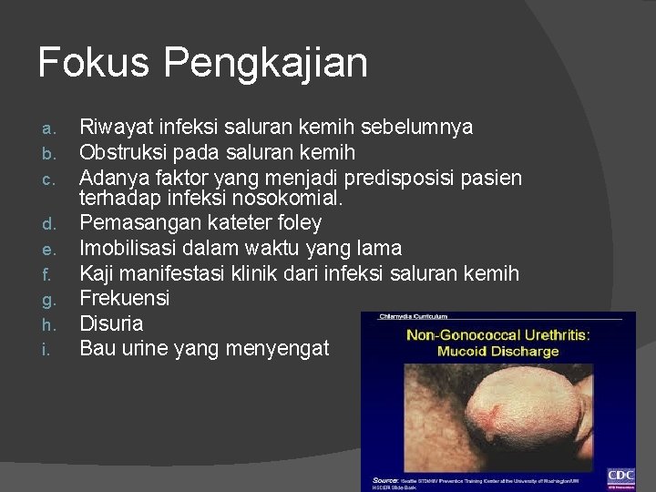 Fokus Pengkajian a. b. c. d. e. f. g. h. i. Riwayat infeksi saluran Fokus Pengkajian a. b. c. d. e. f. g. h. i. Riwayat infeksi saluran