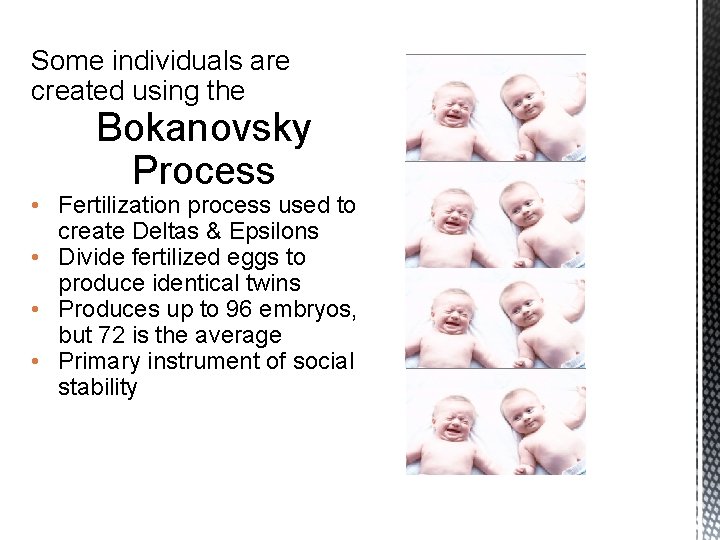 Some individuals are created using the Bokanovsky Process • Fertilization process used to create