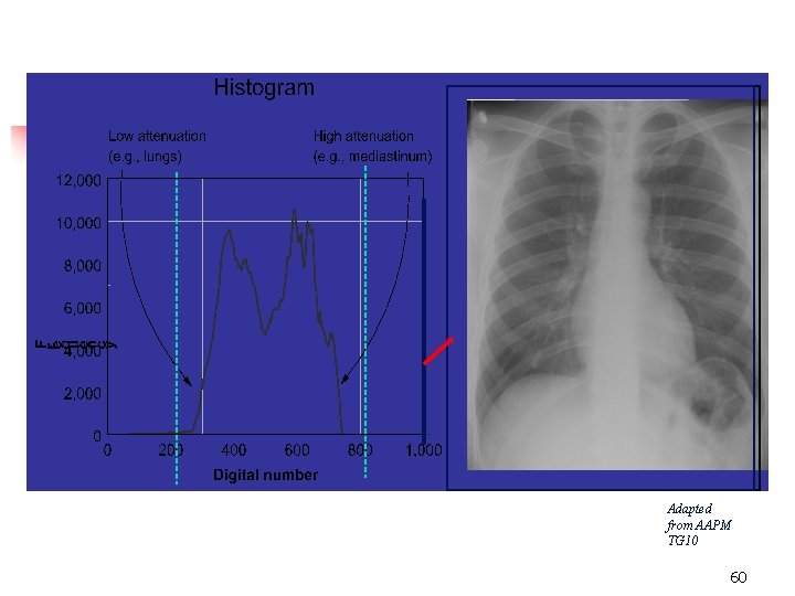 Adapted from AAPM TG 10 60 