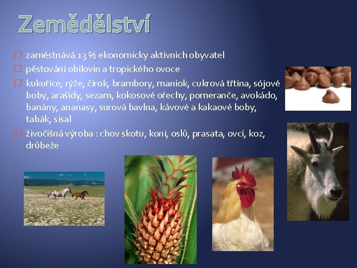 Zemědělství � zaměstnává 13 % ekonomicky aktivních obyvatel � pěstování obilovin a tropického ovoce Zemědělství � zaměstnává 13 % ekonomicky aktivních obyvatel � pěstování obilovin a tropického ovoce