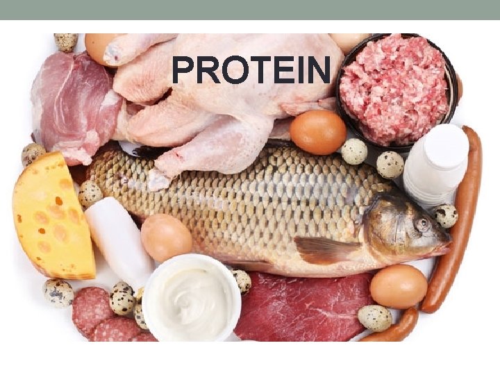 PROTEIN 