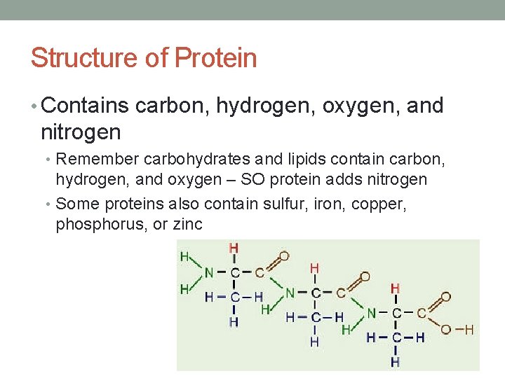 PROTEIN Structure of Protein Contains carbon hydrogen oxygen