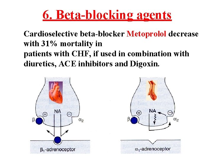 6. Beta-blocking agents Cardioselective beta-blocker Metoprolol decrease with 31% mortality in patients with CHF, 6. Beta-blocking agents Cardioselective beta-blocker Metoprolol decrease with 31% mortality in patients with CHF,
