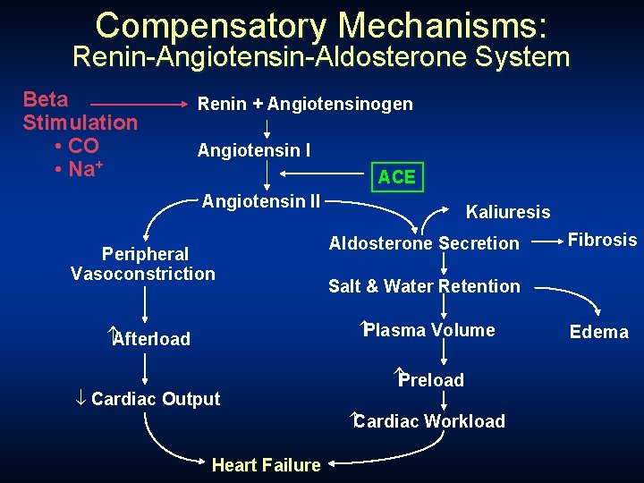 Compensatory Mechanisms: Renin-Angiotensin-Aldosterone System Beta Stimulation • CO • Na+ Renin + Angiotensinogen Angiotensin Compensatory Mechanisms: Renin-Angiotensin-Aldosterone System Beta Stimulation • CO • Na+ Renin + Angiotensinogen Angiotensin