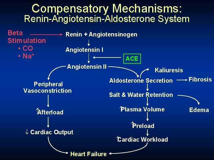 Compensatory Mechanisms: Renin-Angiotensin-Aldosterone System Beta Stimulation • CO • Na+ Renin + Angiotensinogen Angiotensin