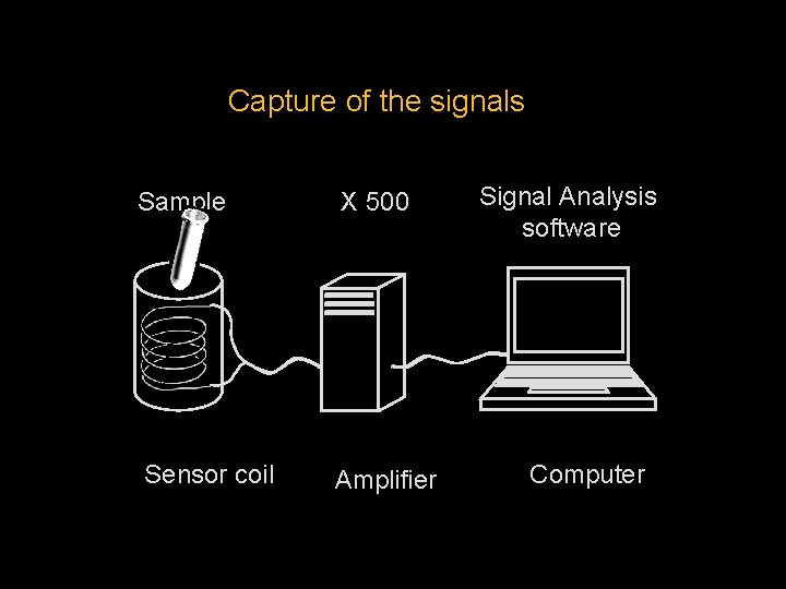 Capture of the signals Sample X 500 Sensor coil Amplifier Signal Analysis software Computer