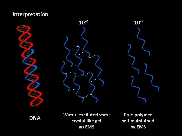 Interpretation 10 -2 DNA Water excitated state crystal like gel no EMS 10 -9