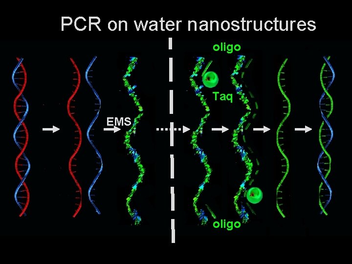 PCR on water nanostructures oligo Taq EMS oligo 