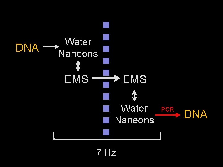 DNA Water Naneons EMS Water Naneons 7 Hz PCR DNA 