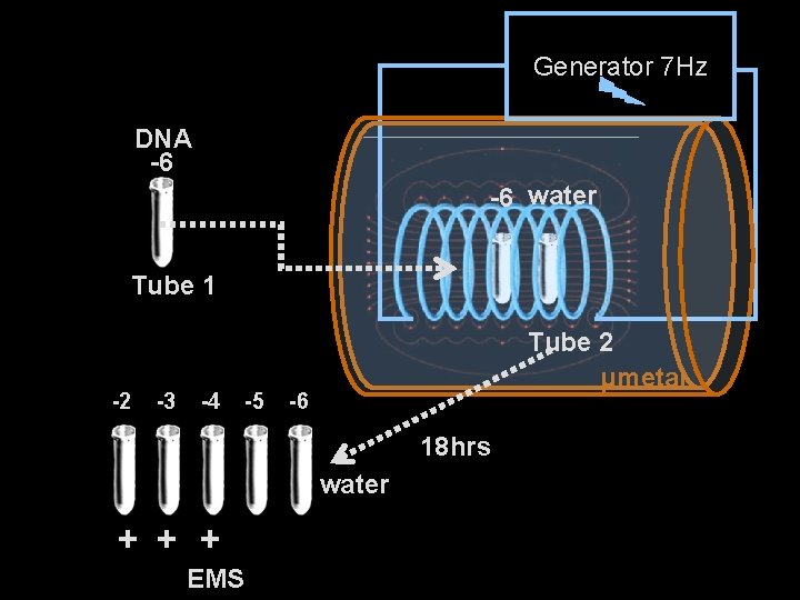 Generator 7 Hz DNA -6 -6 water Tube 1 Tube 2 µmetal -2 -3