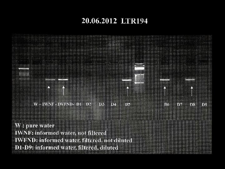 Molecular Biology Laboratory DNA reproduced and sequenced 100 % identical to original File EMS