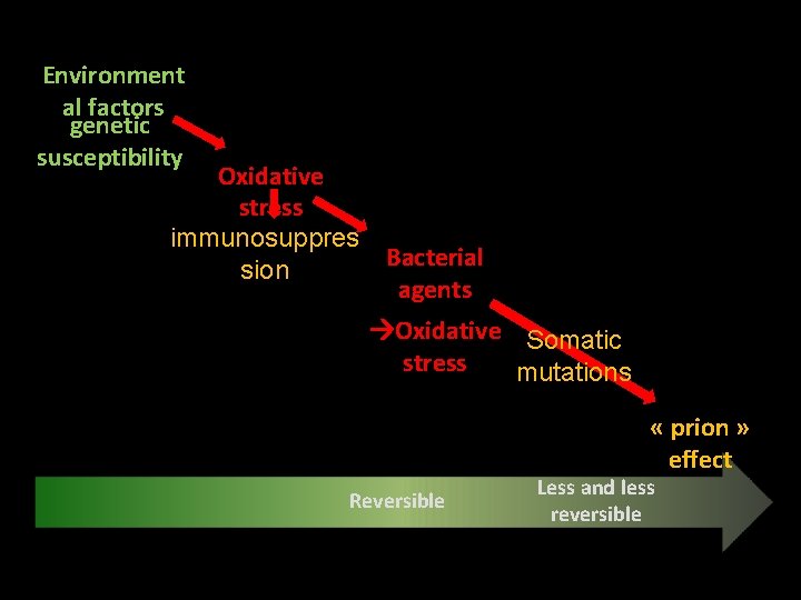 Environment al factors genetic susceptibility Oxidative stress immunosuppres Bacterial sion agents Oxidative Somatic stress