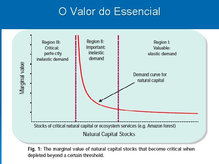 O Valor do Essencial 