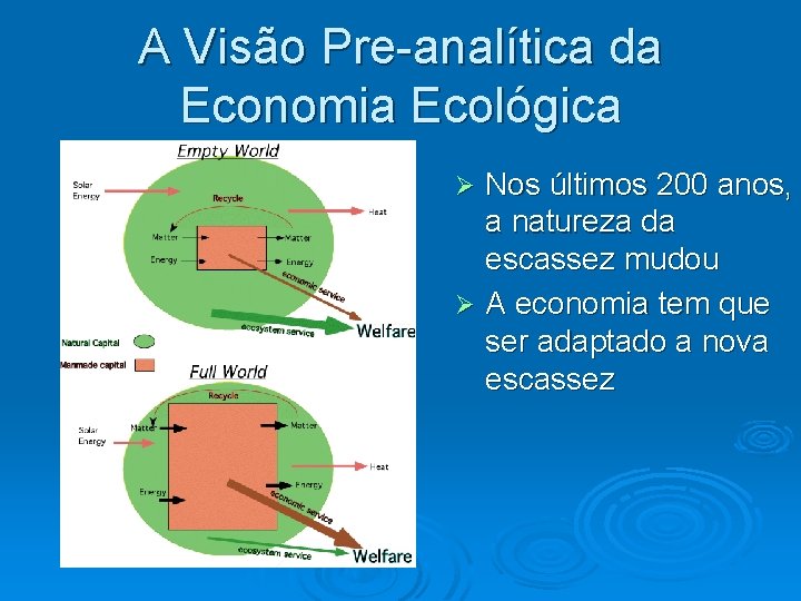 A Visão Pre-analítica da Economia Ecológica Nos últimos 200 anos, a natureza da escassez