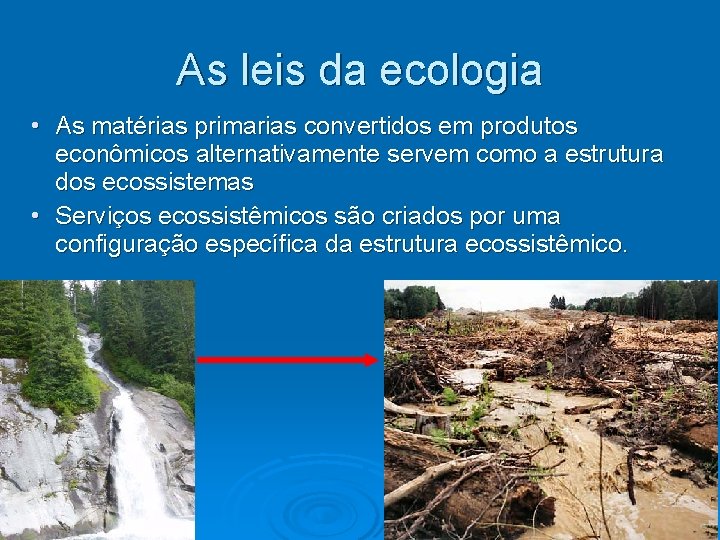 As leis da ecologia • As matérias primarias convertidos em produtos econômicos alternativamente servem