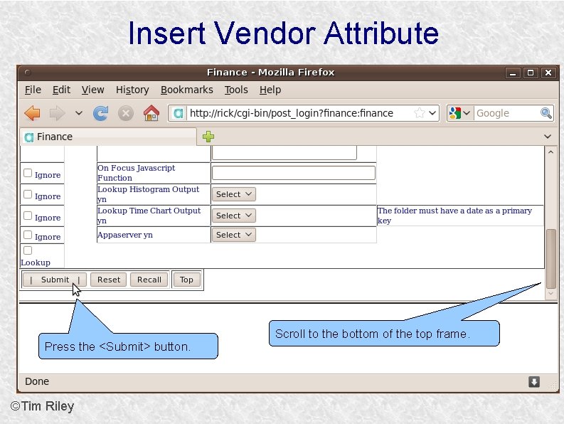 Insert Vendor Attribute Press the <Submit> button. ©Tim Riley Scroll to the bottom of