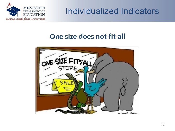 Individualized Indicators One size does not fit all 12 